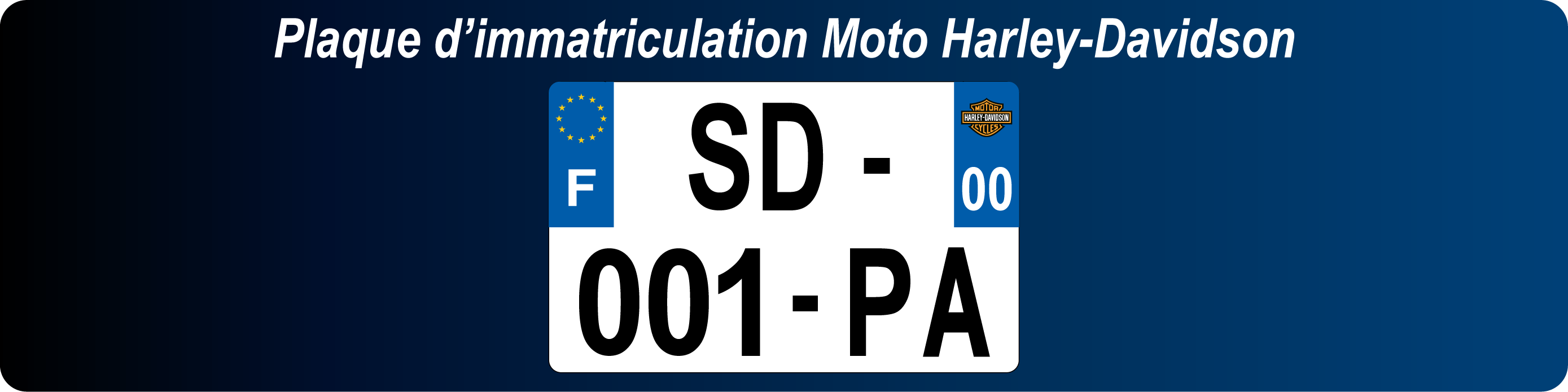 Plaque immatriculation plexiglass Moto Harley-Davidson