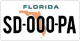Plaque immatriculation USA Floride format US 30,5 x 15,2 CM